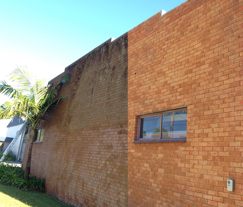 high pressure mossy brick wall cleaning Sydney