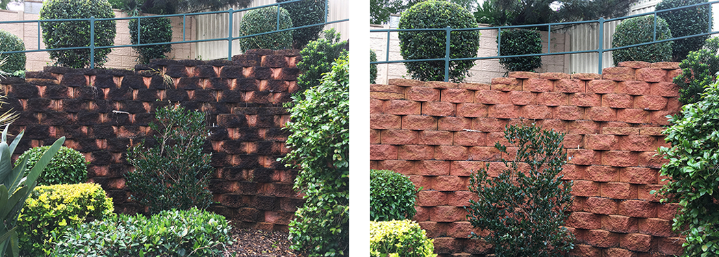 paved garden wall cleaning Sydney