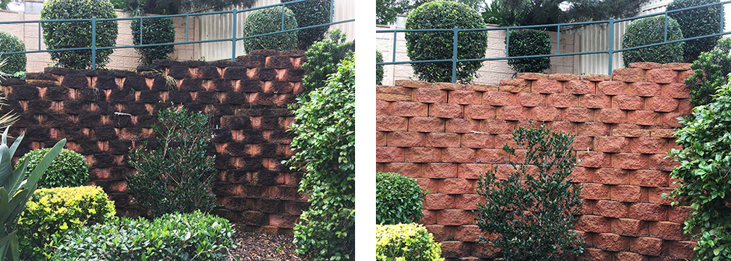 high pressure remove moss on brick wall Sydney