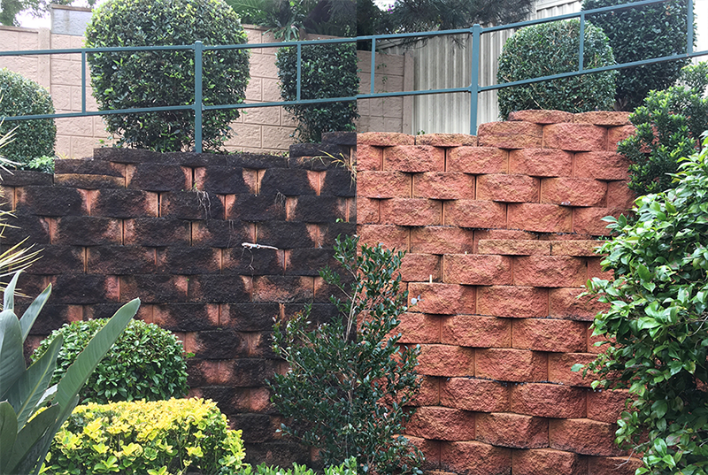 high pressure mossy brick wall cleaning Sydney