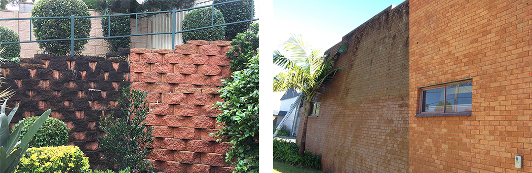 high pressure shed mould, brick cleaning Sydney