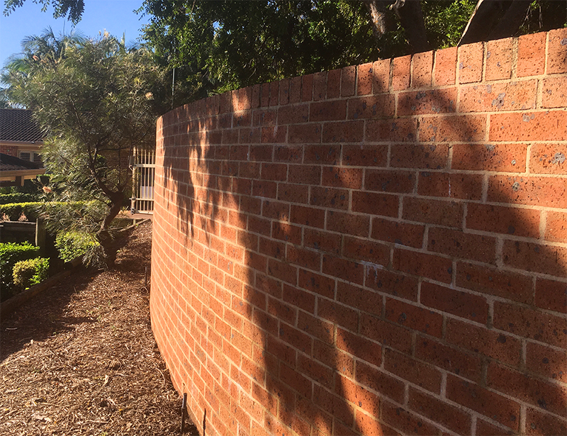 high pressure lichen removal brick wall Sydney