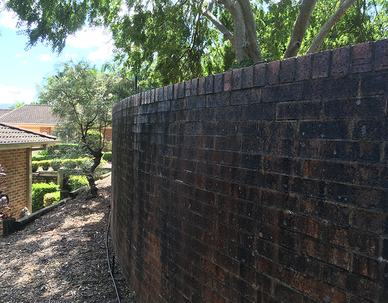high pressure moss removal brick wall Sydney
