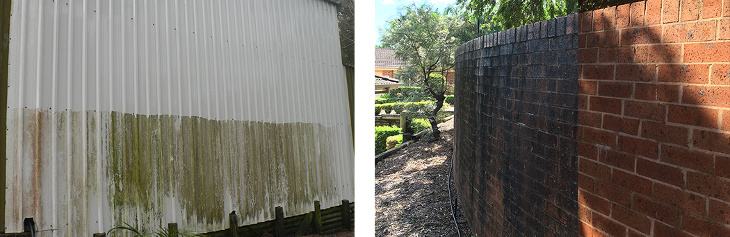 high pressure shed mould, brick cleaning Sydney